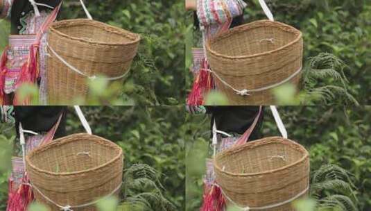 少数民族茶农茶园中采茶高清在线视频素材下载