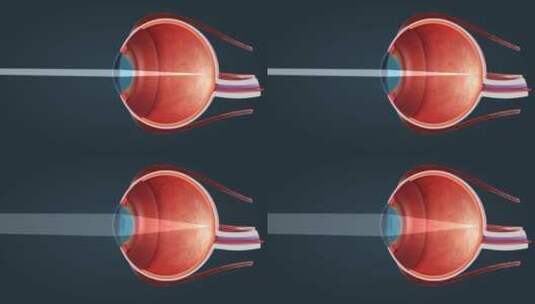 人眼 眼睛 眼球 感觉器官 视觉系统三维动画高清在线视频素材下载