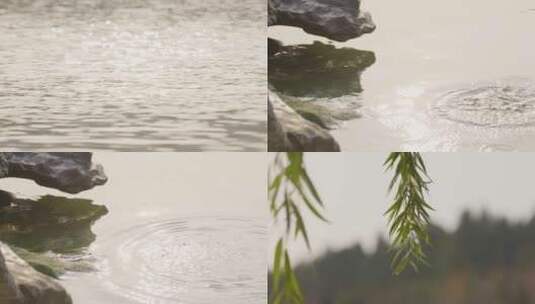 柳树湖面空镜头高清在线视频素材下载