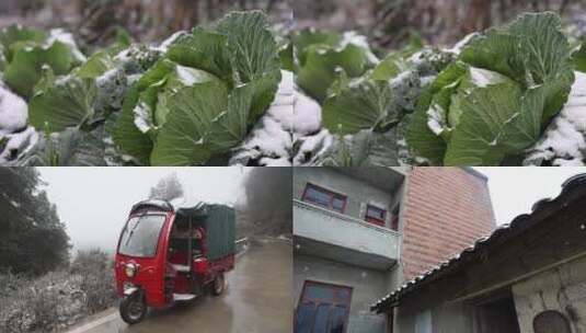 农村下雪高清在线视频素材下载