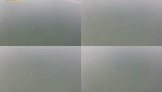冬天江河里游泳的人高清在线视频素材下载