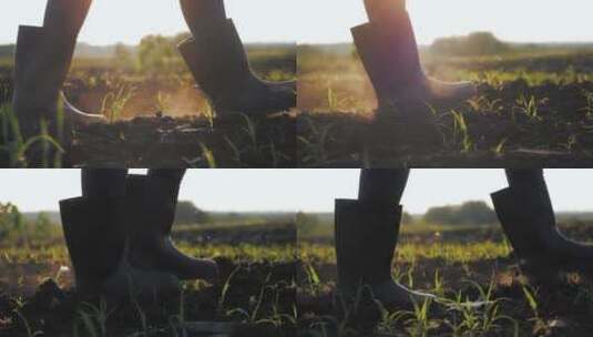 穿着橡胶靴的农民穿过耕种的农田高清在线视频素材下载