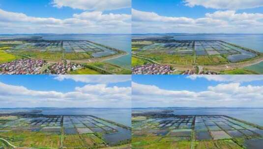 新农村水产养殖高清在线视频素材下载