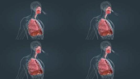 医学肺功能肺呼吸肺活量深呼吸人体器官动画高清在线视频素材下载