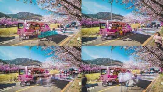 樱花市集樱花节春天市集高清在线视频素材下载