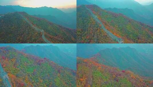 航拍北京慕田峪长城深秋秋季景色高清在线视频素材下载