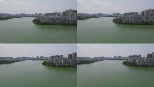 航拍湖北鄂州东洋澜湖湿地公园高清在线视频素材下载