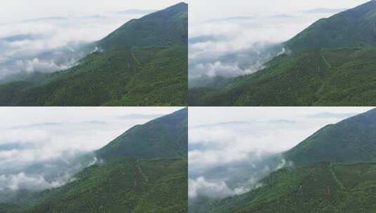 航拍云雾缭绕的山林高清在线视频素材下载