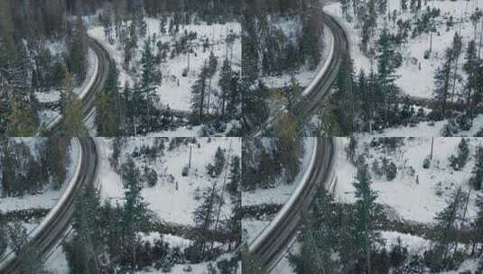 白天冬季森林道路的鸟瞰图——无人机拍摄高清在线视频素材下载