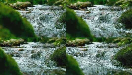 溪流流水高清在线视频素材下载