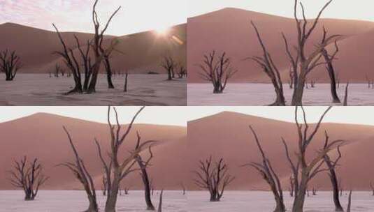 沙漠沙丘沙漠日出日落高清在线视频素材下载