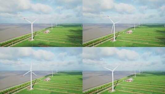 中国上海长兴岛海边稻田风车高清在线视频素材下载