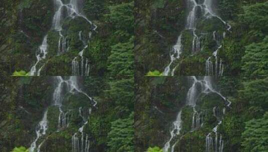 森林瀑布流水高清在线视频素材下载