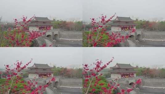 惠州朝京门木棉狮子航拍高清在线视频素材下载