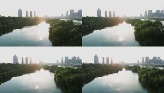 湖北荆州城市湿地逆光4K航拍高清在线视频素材下载