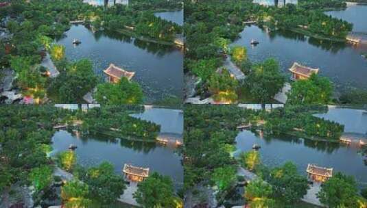 上海世博文化公园 申园 夜景 上海夜景高清在线视频素材下载