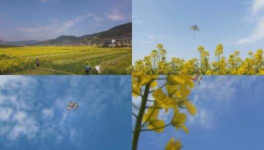 蓝天风筝 油菜花 春天气息 踏春 田野 花海高清在线视频素材下载