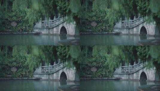雨天丰庆公园高清在线视频素材下载
