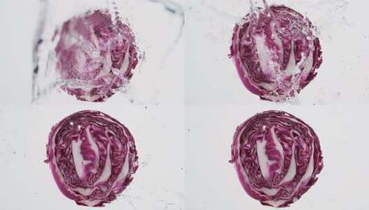 紫甘蓝淋水高清在线视频素材下载