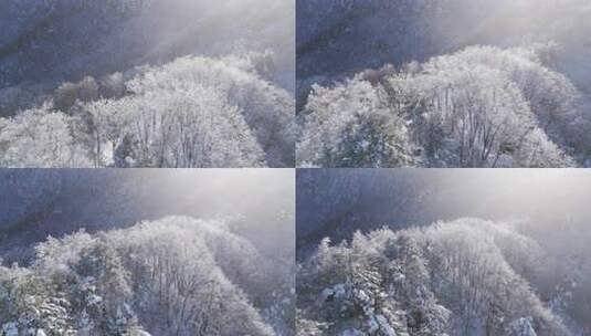 伏牛山冬季雪景云海雾凇高清在线视频素材下载