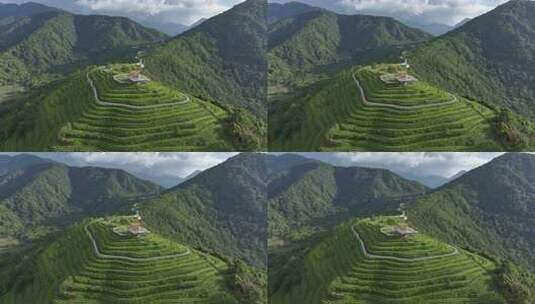 西藏墨脱县背崩乡格林村高山茶园风光航拍高清在线视频素材下载