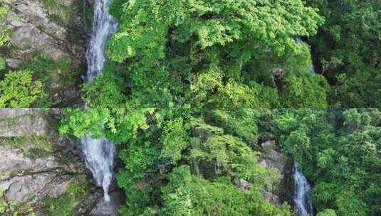 高山森林 溪流 山间瀑布高清在线视频素材下载