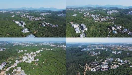 乡村振兴，美丽乡村，深林，荔枝树，落日高清在线视频素材下载