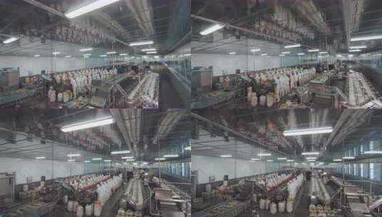 海参加工生产线工人在流水线上处理海鲜高清在线视频素材下载