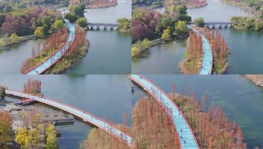 秋天成都天府绿道高新区锦城公园路段航拍高清在线视频素材下载