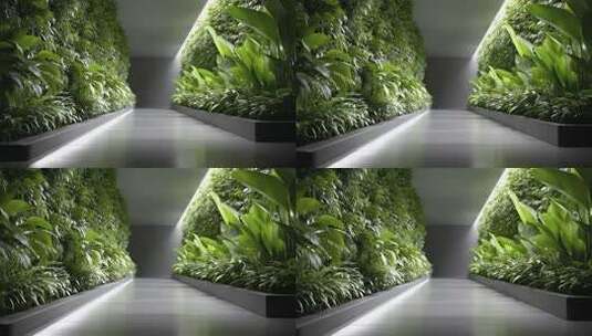 室内垂直绿化走廊营造自然生态空间高清在线视频素材下载