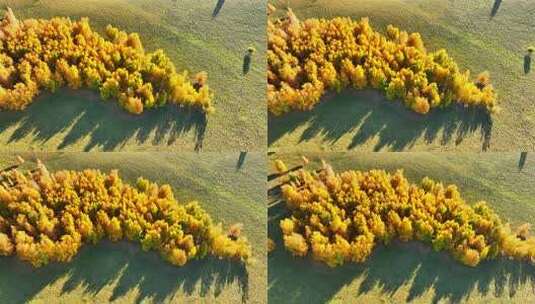 航拍内蒙古山区秋景高清在线视频素材下载