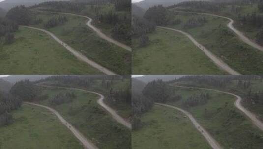4k树林骑车高清在线视频素材下载