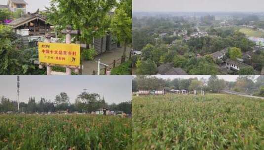 4k航拍CCTV中国十大最美乡村青杠树3高清在线视频素材下载
