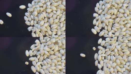 大麦麦子粮食水稻五谷粗粮高清在线视频素材下载