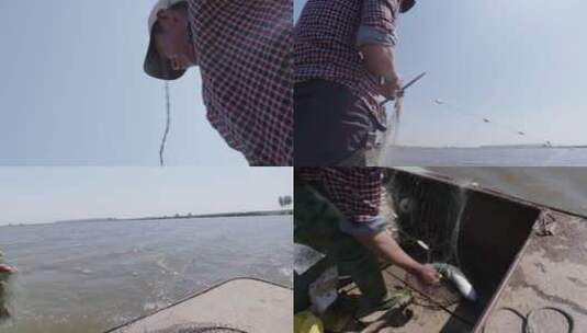 辽河渔民打渔高清在线视频素材下载