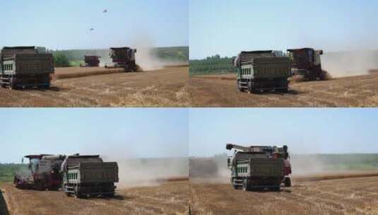 机械农业收割小麦高清在线视频素材下载