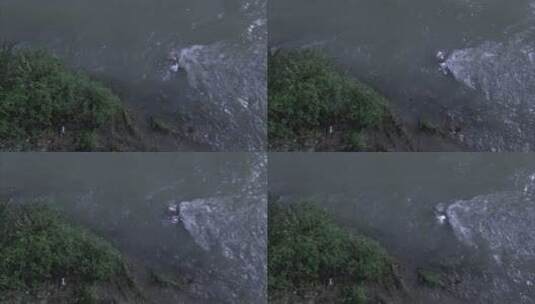 下雨时的都江堰湍急水流 水涡高清在线视频素材下载