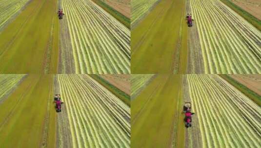 航拍新疆大片小麦田收获收割机工作高清在线视频素材下载