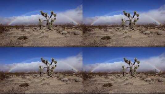 沙漠上的彩虹高清在线视频素材下载