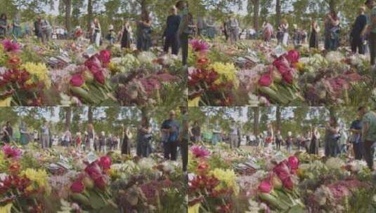 绿色公园数百名花卉贡品和哀悼者的特写镜头高清在线视频素材下载