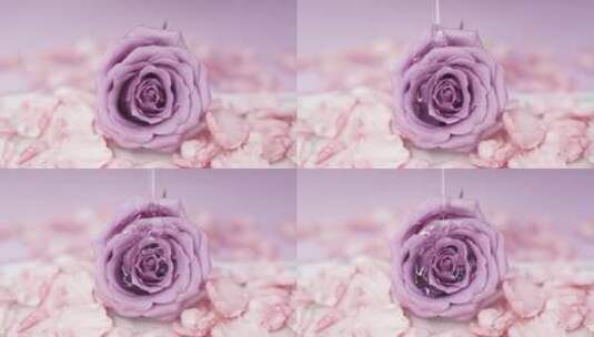 白色液体流到紫色玫瑰花瓣高清在线视频素材下载