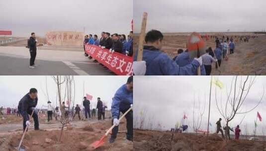 湖南援疆林植树高清在线视频素材下载