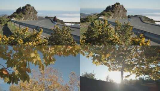 秋天 秋天风景 秋天阳光高清在线视频素材下载