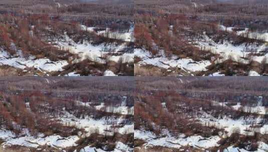 航拍内蒙古大兴安岭森林、红树头高清在线视频素材下载