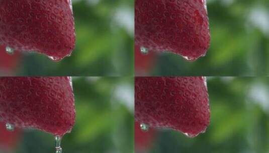 草莓上的水滴缓慢落下高清在线视频素材下载