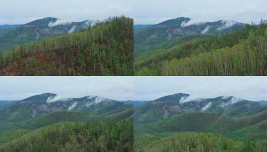 阿尔山好森沟景区航拍高清在线视频素材下载