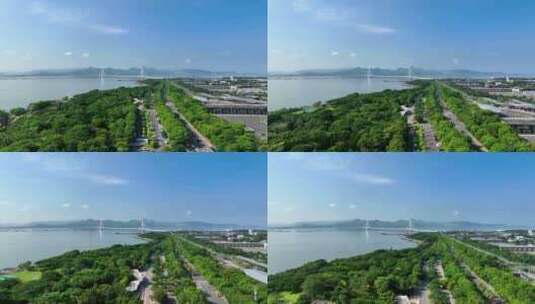 深圳湾公园 深圳湾大桥航拍高清在线视频素材下载