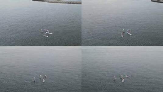 在宁静的海景上站立划桨登机时的朋友。无人机高清在线视频素材下载