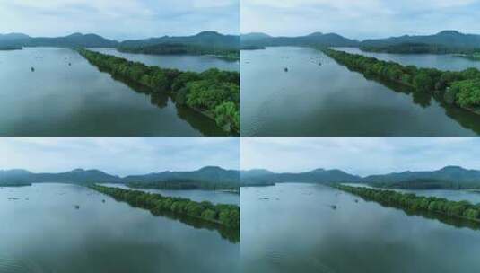 航拍杭州西湖曲院风荷荷花视频高清在线视频素材下载