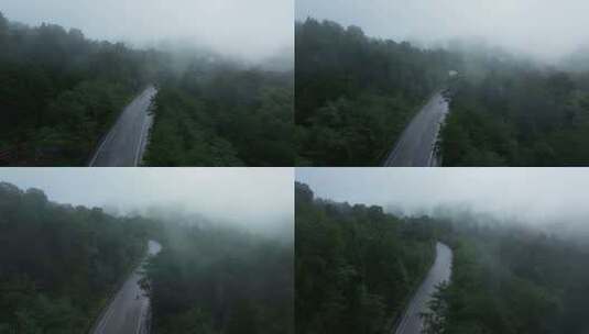 航拍雨中的森林公路高清在线视频素材下载
